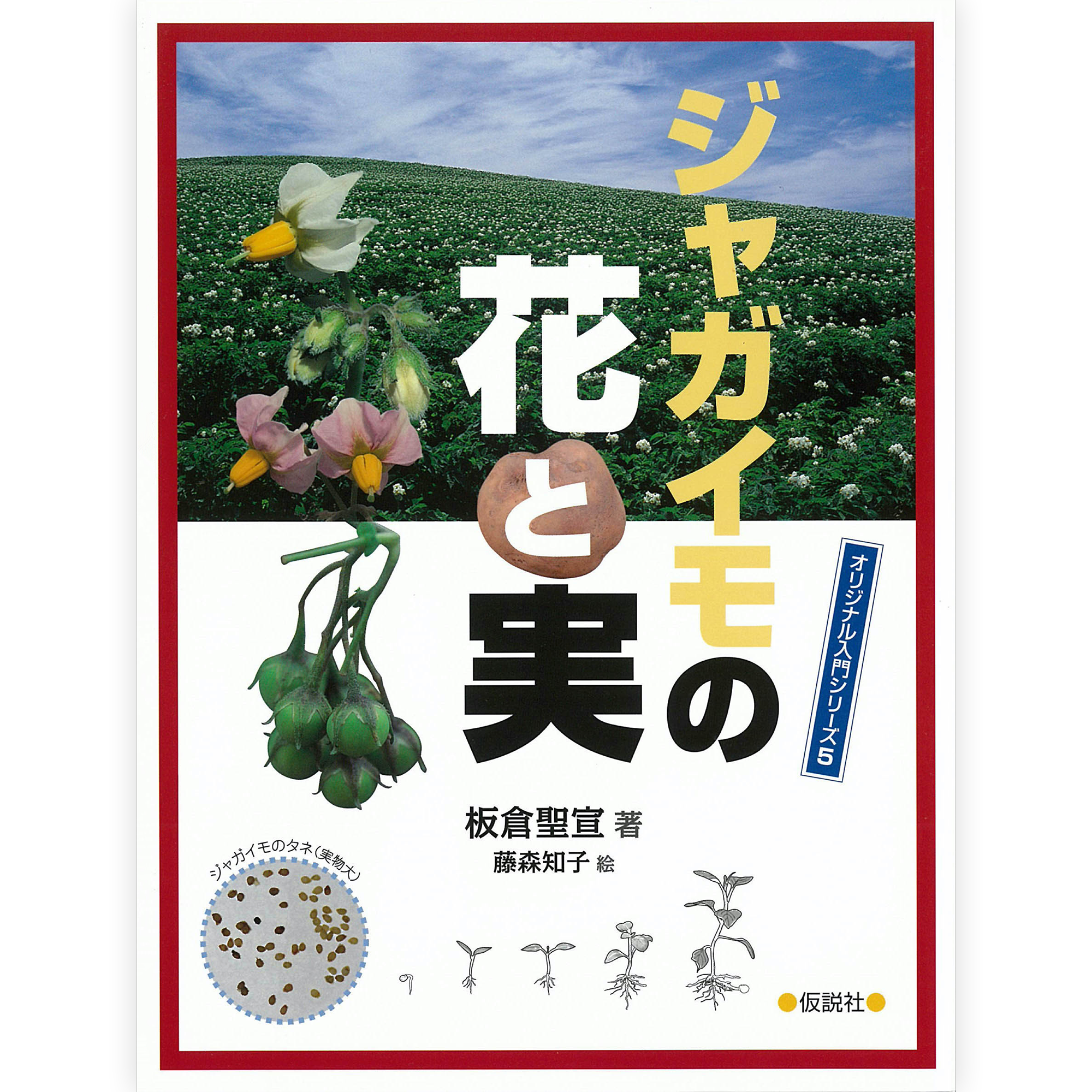 ジャガイモの花と実 – 仮説社ONLINE SHOP