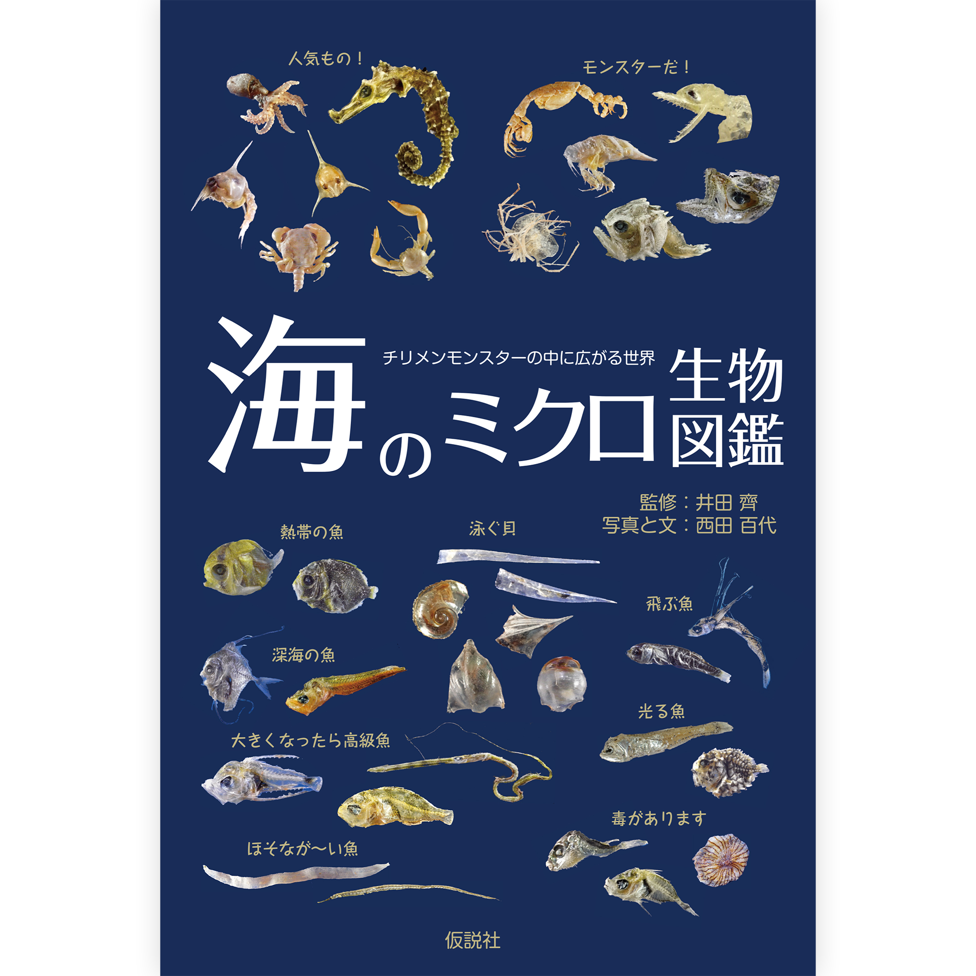 海のミクロ生物図鑑 – 仮説社ONLINE SHOP 海のミクロ生物図鑑 – 仮説社ONLINE SHOP