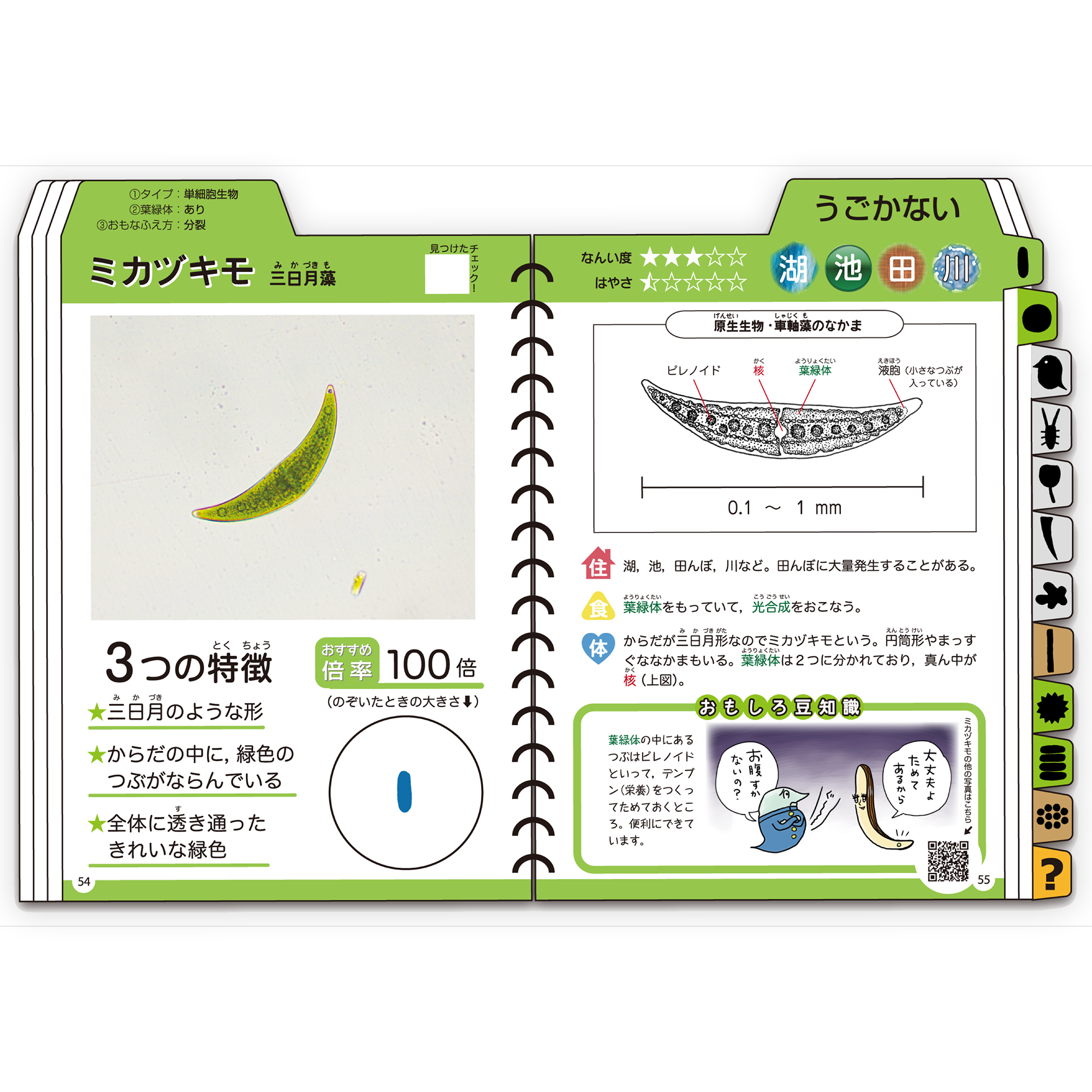 画像代替テキスト