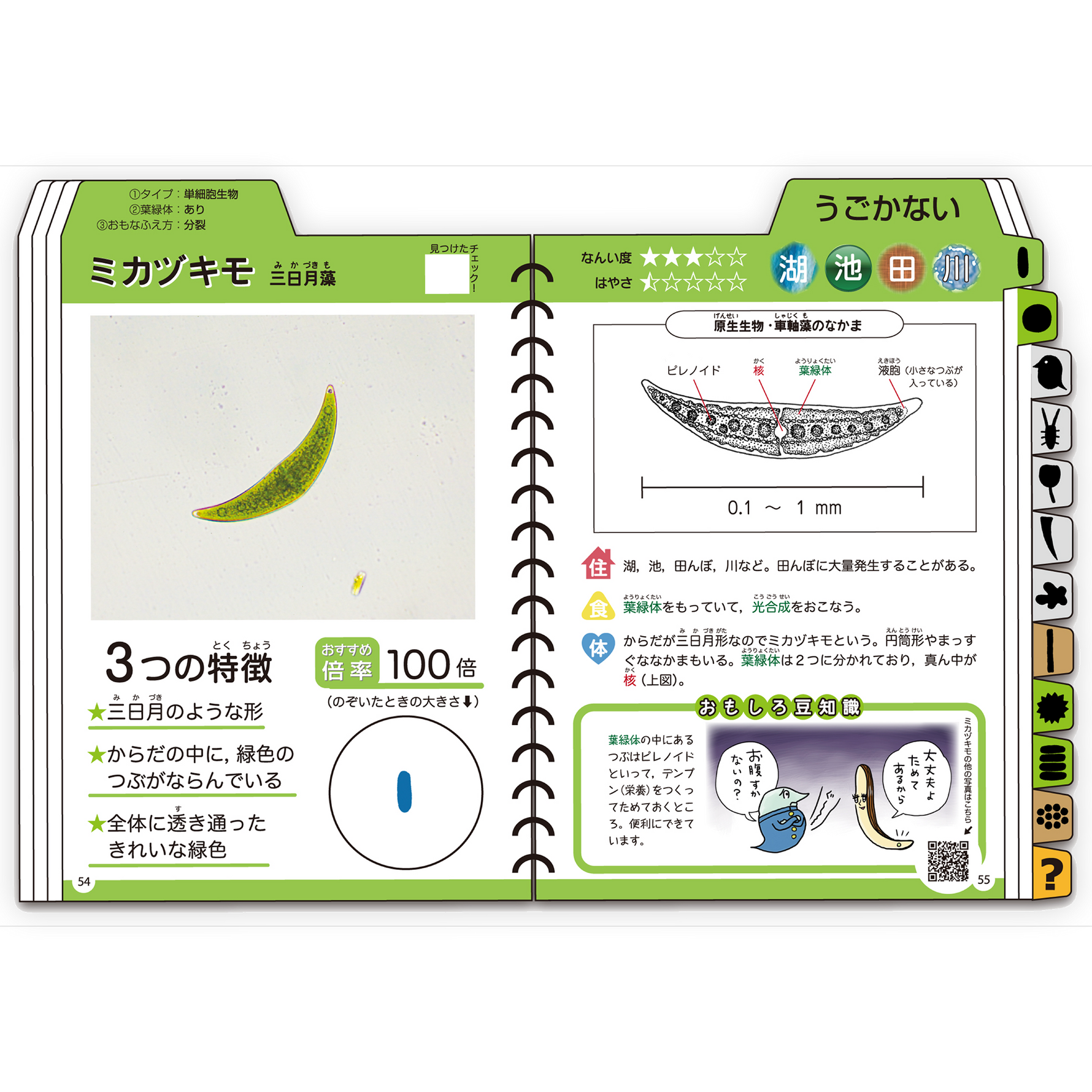 水中の小さな生き物けんさくブック – 仮説社ONLINE SHOP