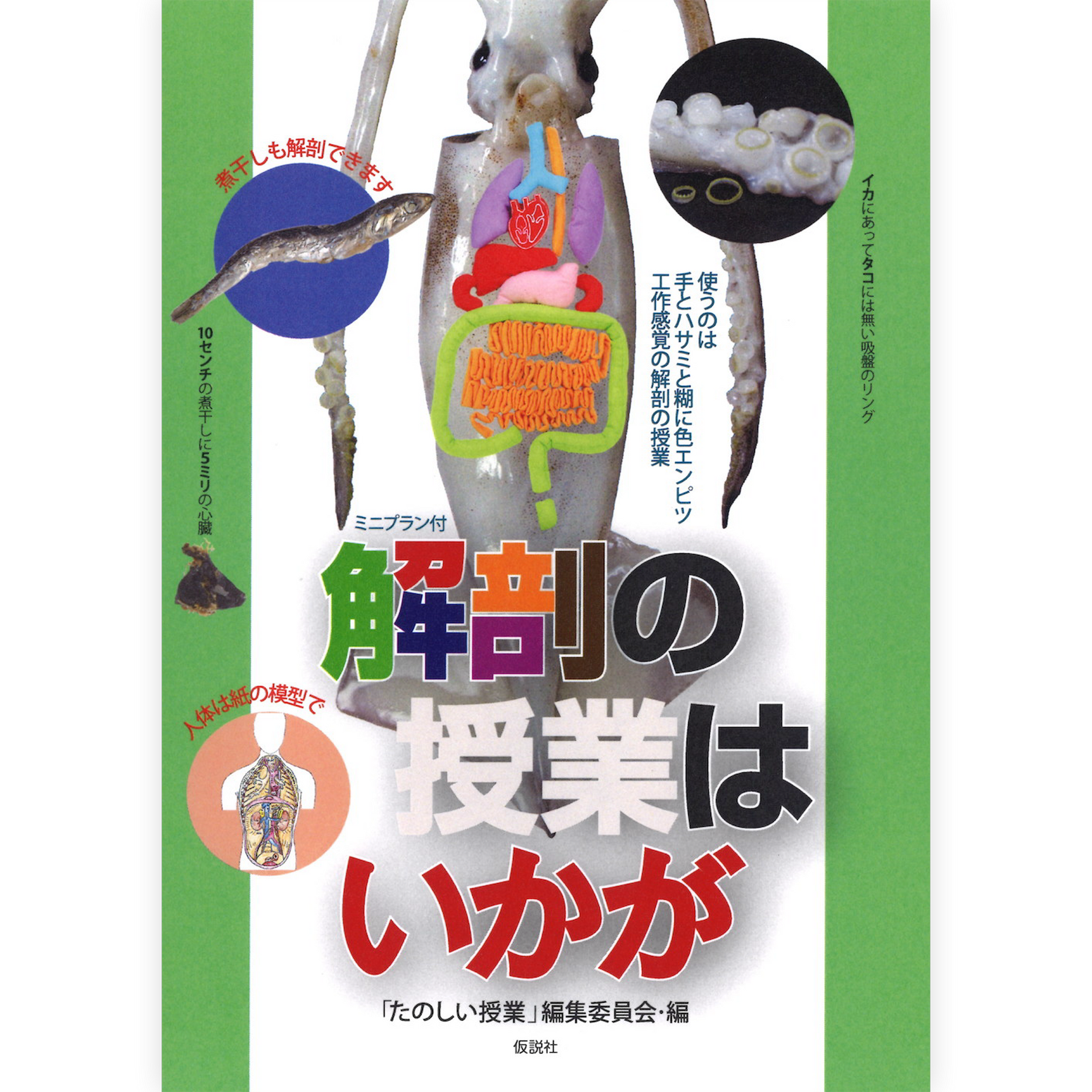 解剖の授業はいかが