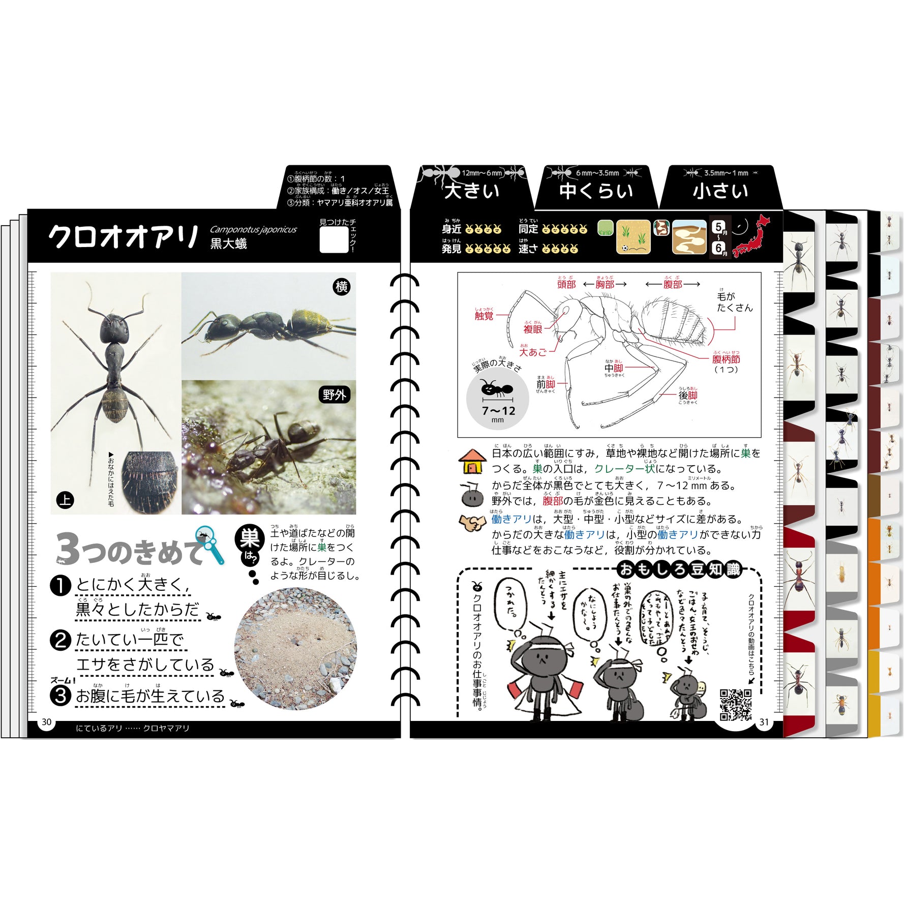 身近なアリけんさくブック