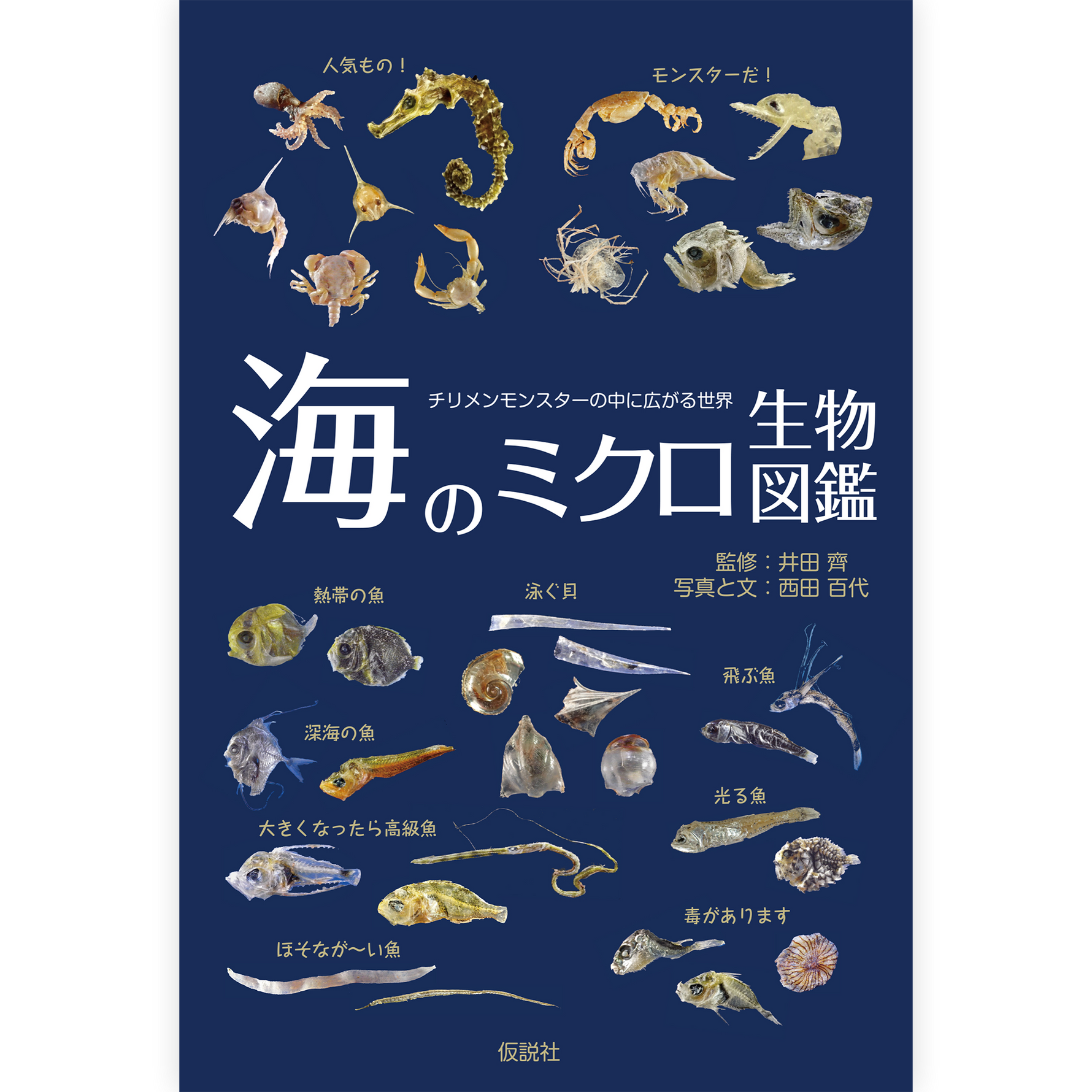 海のミクロ生物図鑑