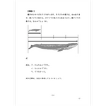 算数の授業書《割合》