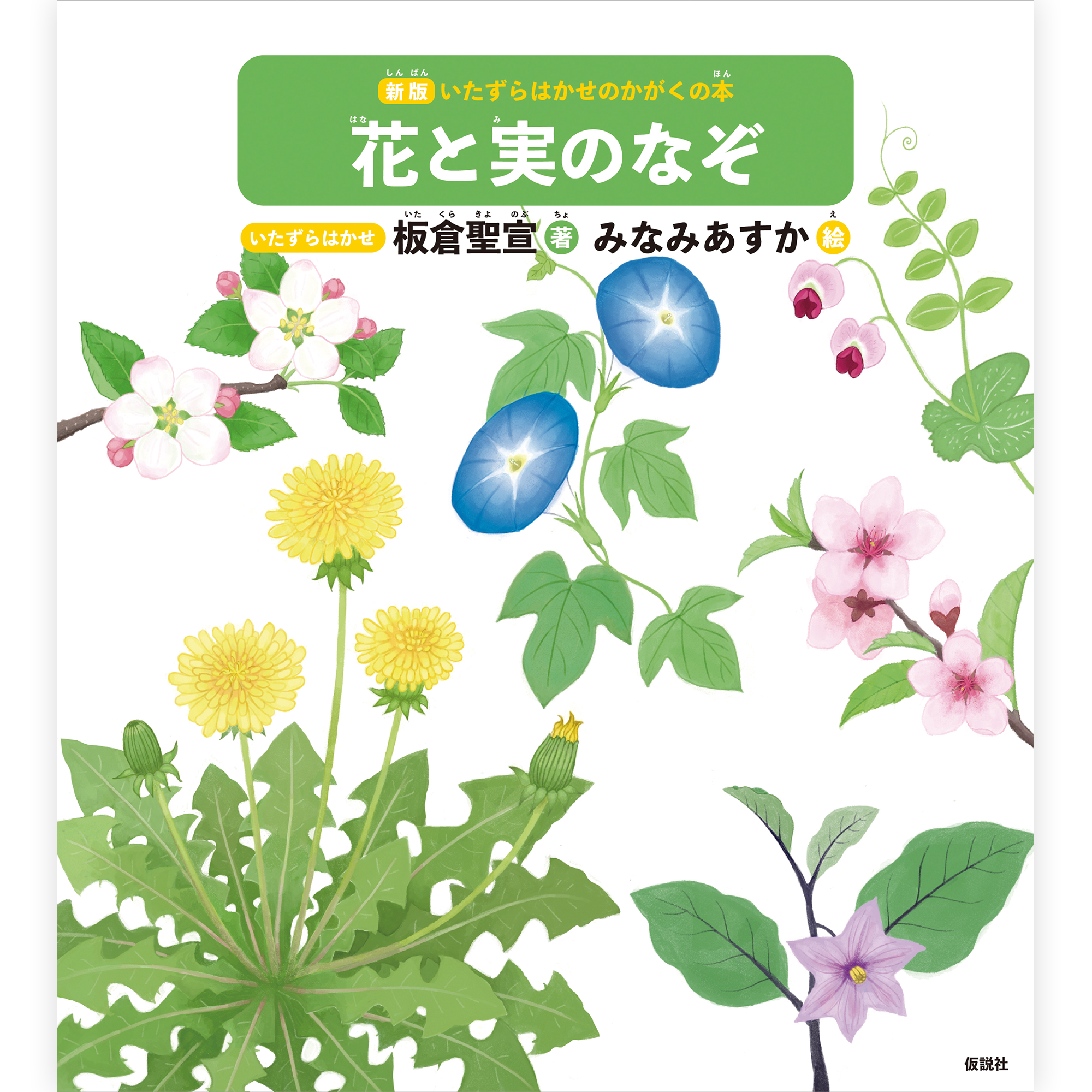 ★ 新刊 ＆ 新刊予約 ★