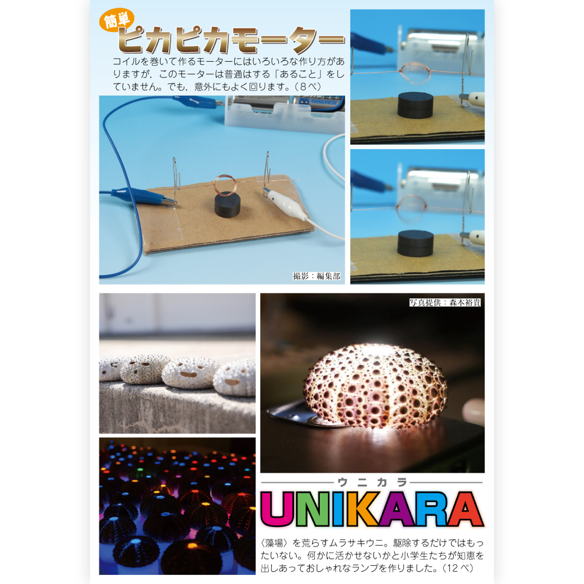 画像代替テキスト