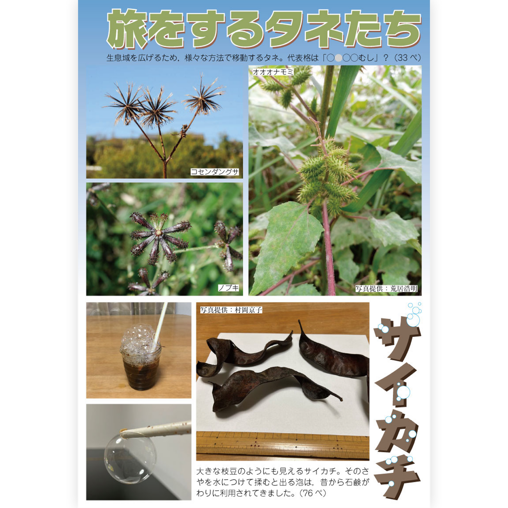 たのしい授業No.553　2024年２月号