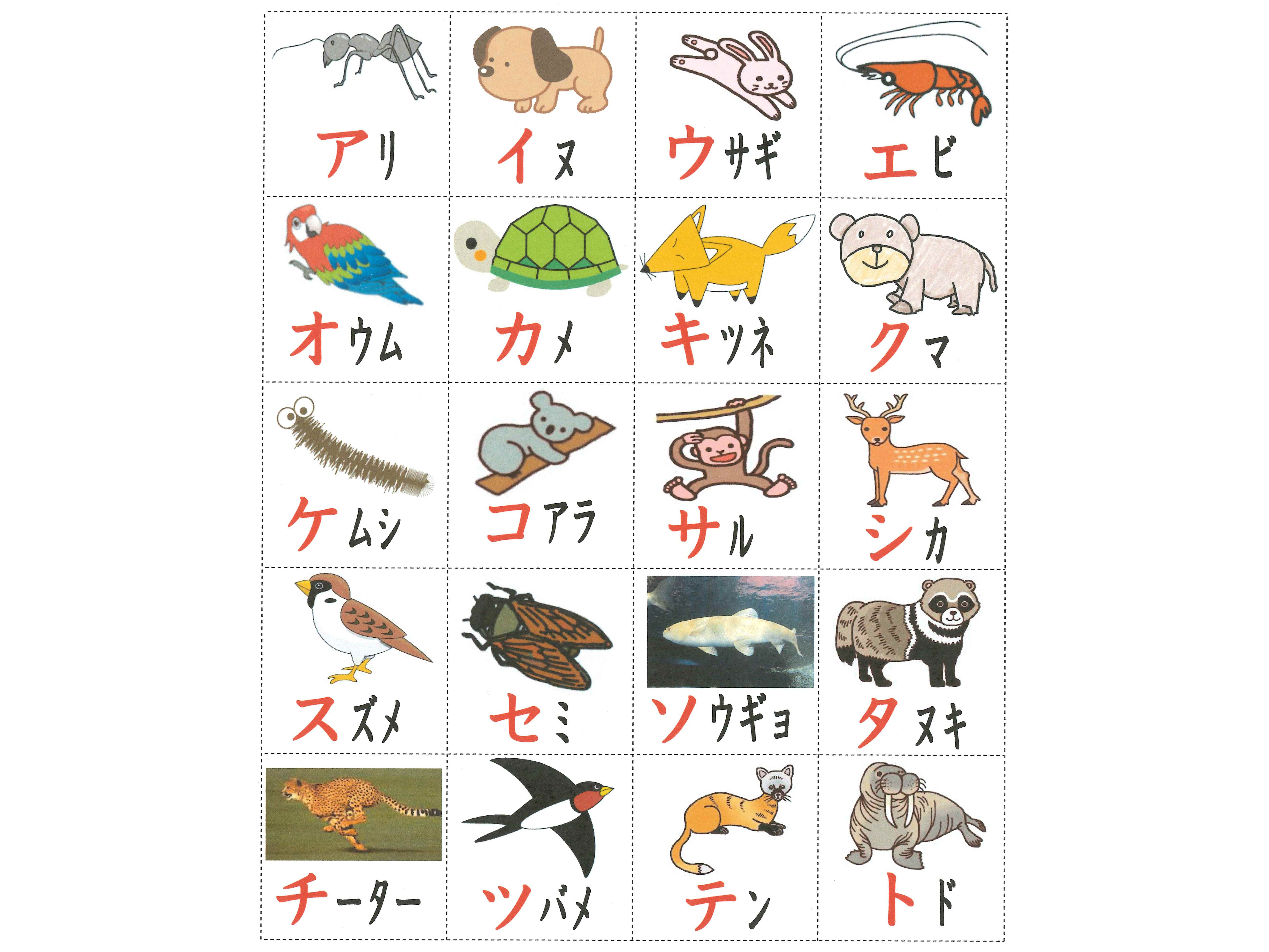 画像代替テキスト