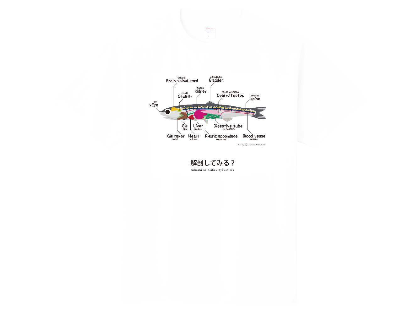 煮干しの解剖Ｔシャツ