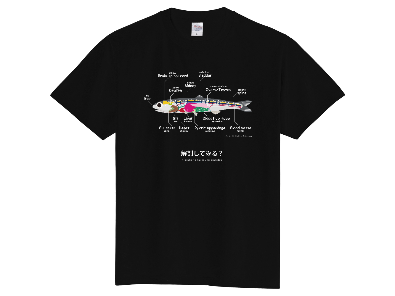 煮干しの解剖Ｔシャツ