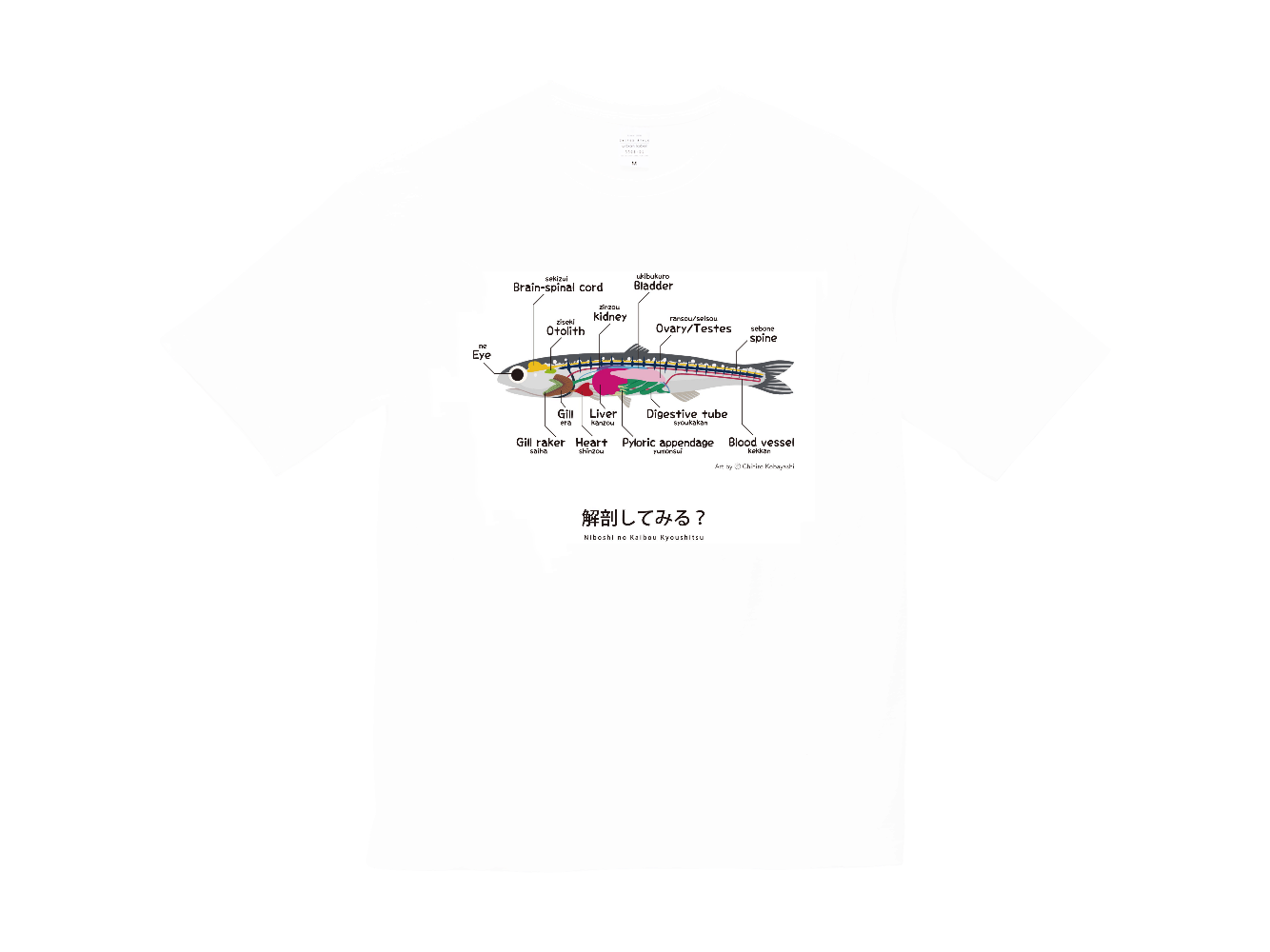 煮干しの解剖Ｔシャツ