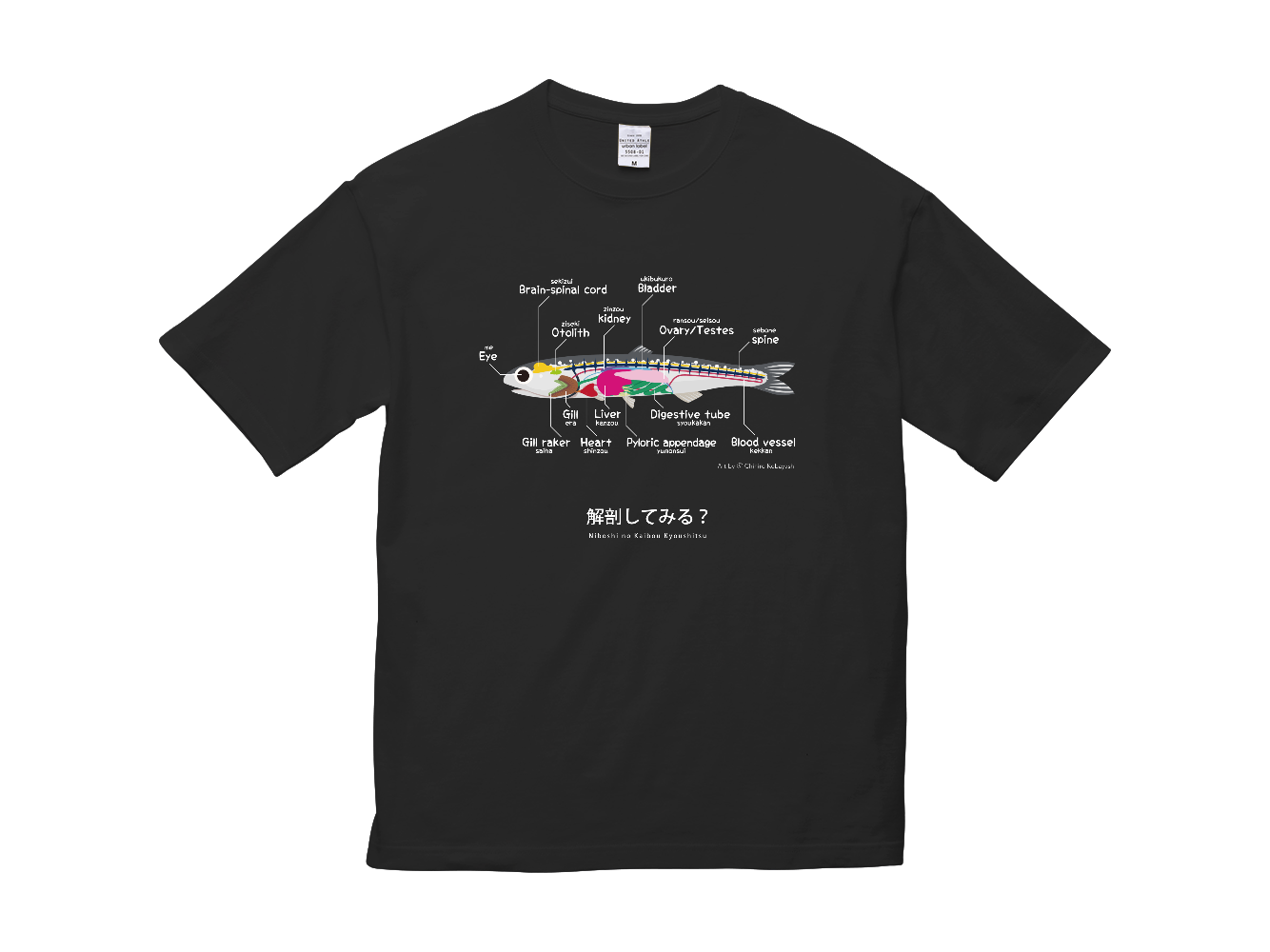 煮干しの解剖Ｔシャツ