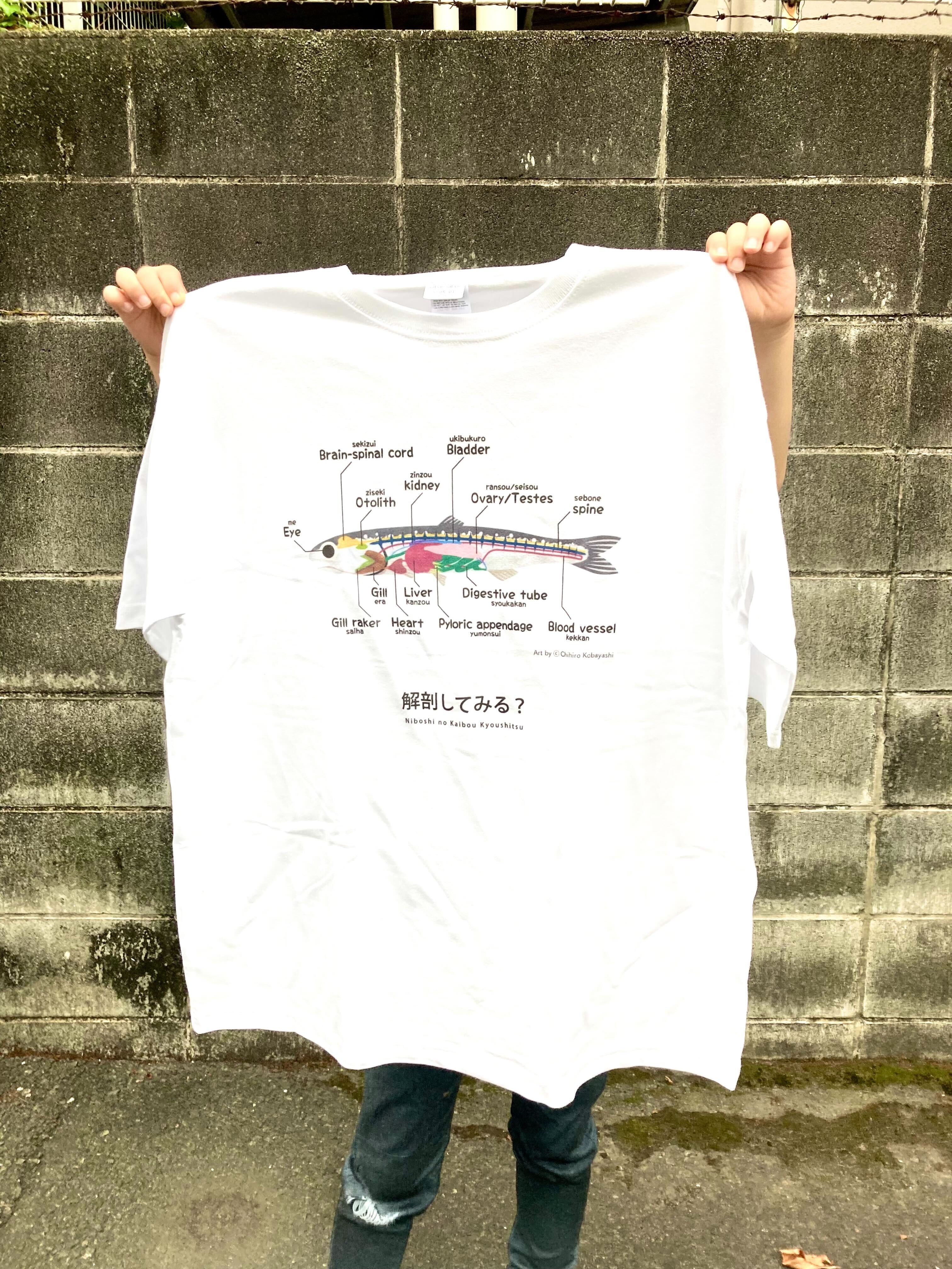 煮干しの解剖Ｔシャツ