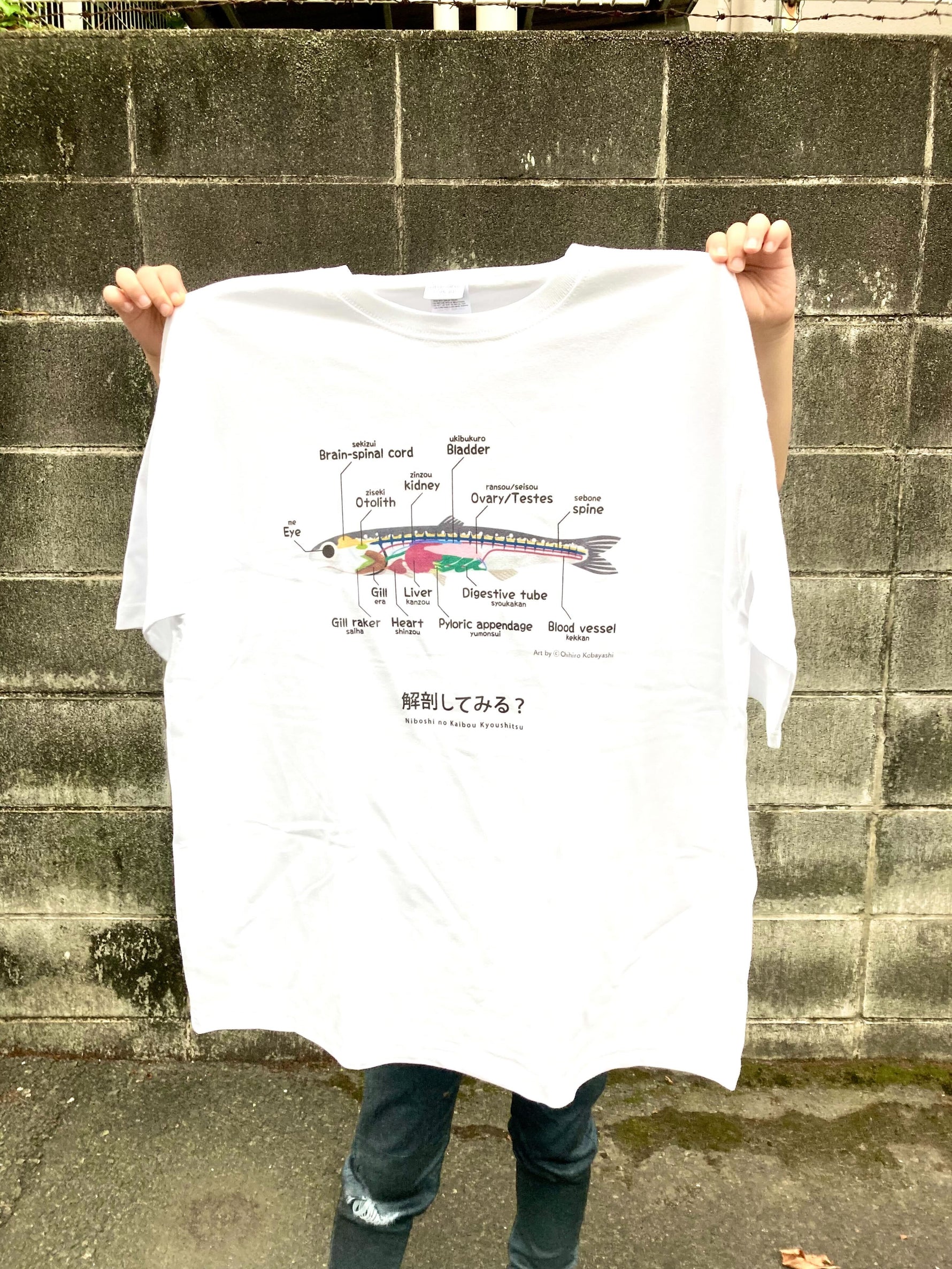 煮干しの解剖Ｔシャツ
