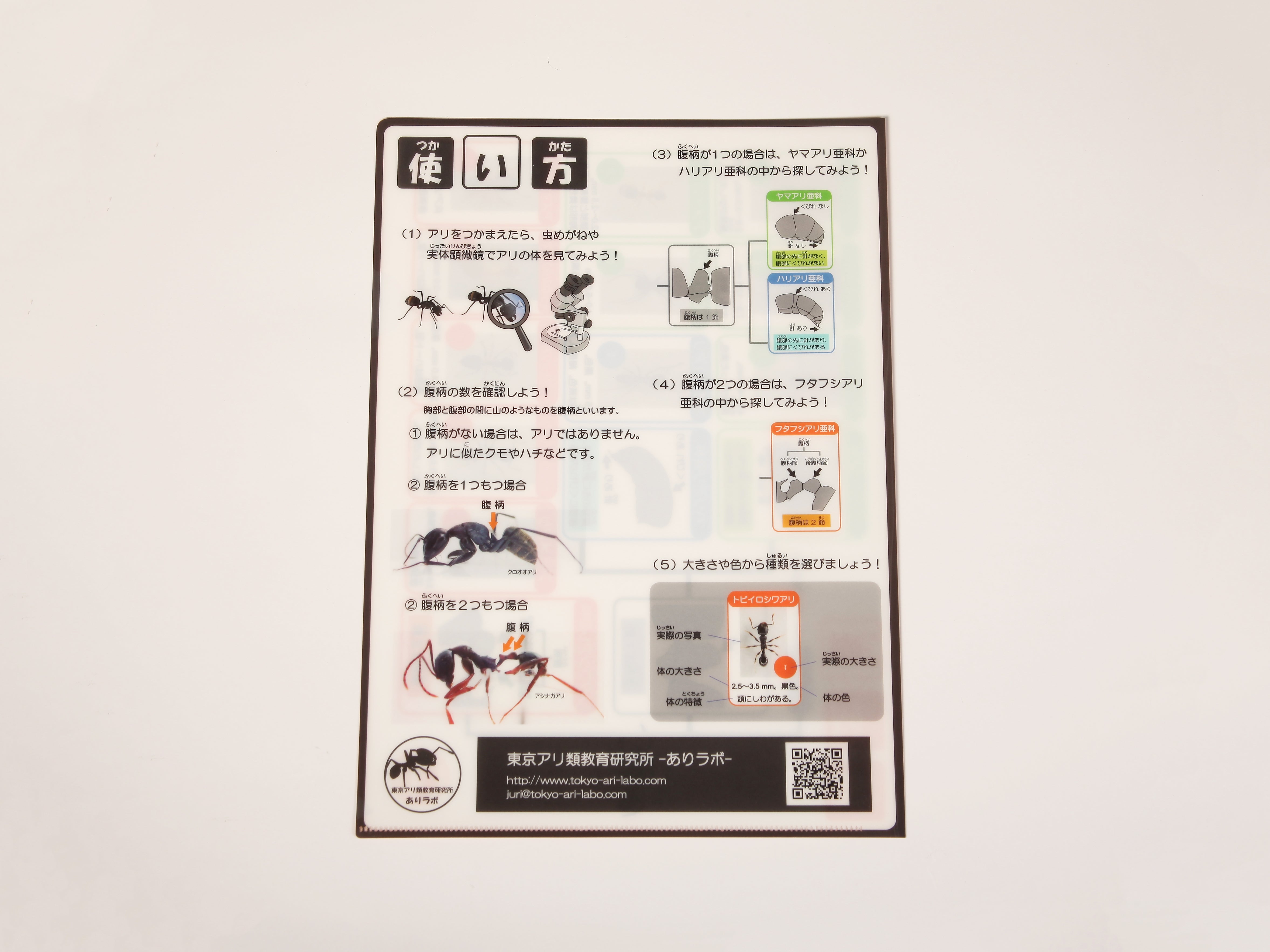 画像代替テキスト