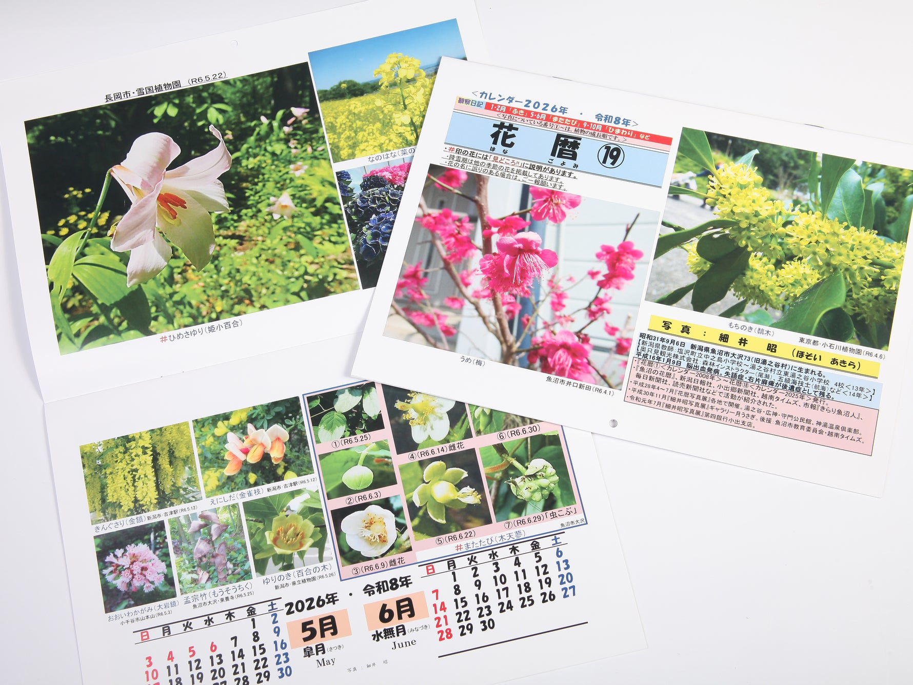 花暦（はなごよみ）2026年カレンダー