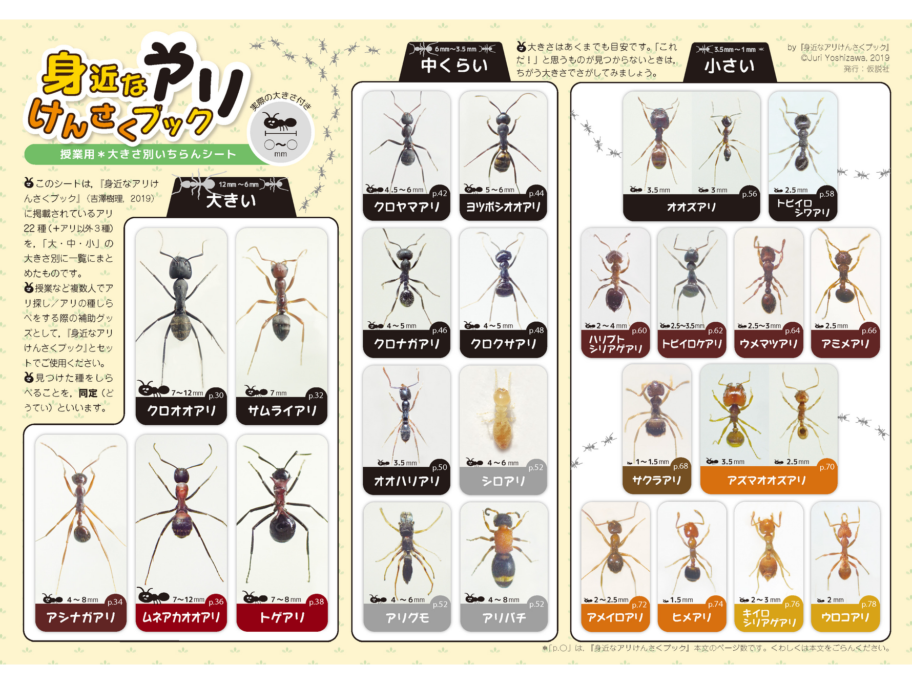 アリの大きさ別いちらんシート