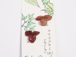 微生物アクセサリー
