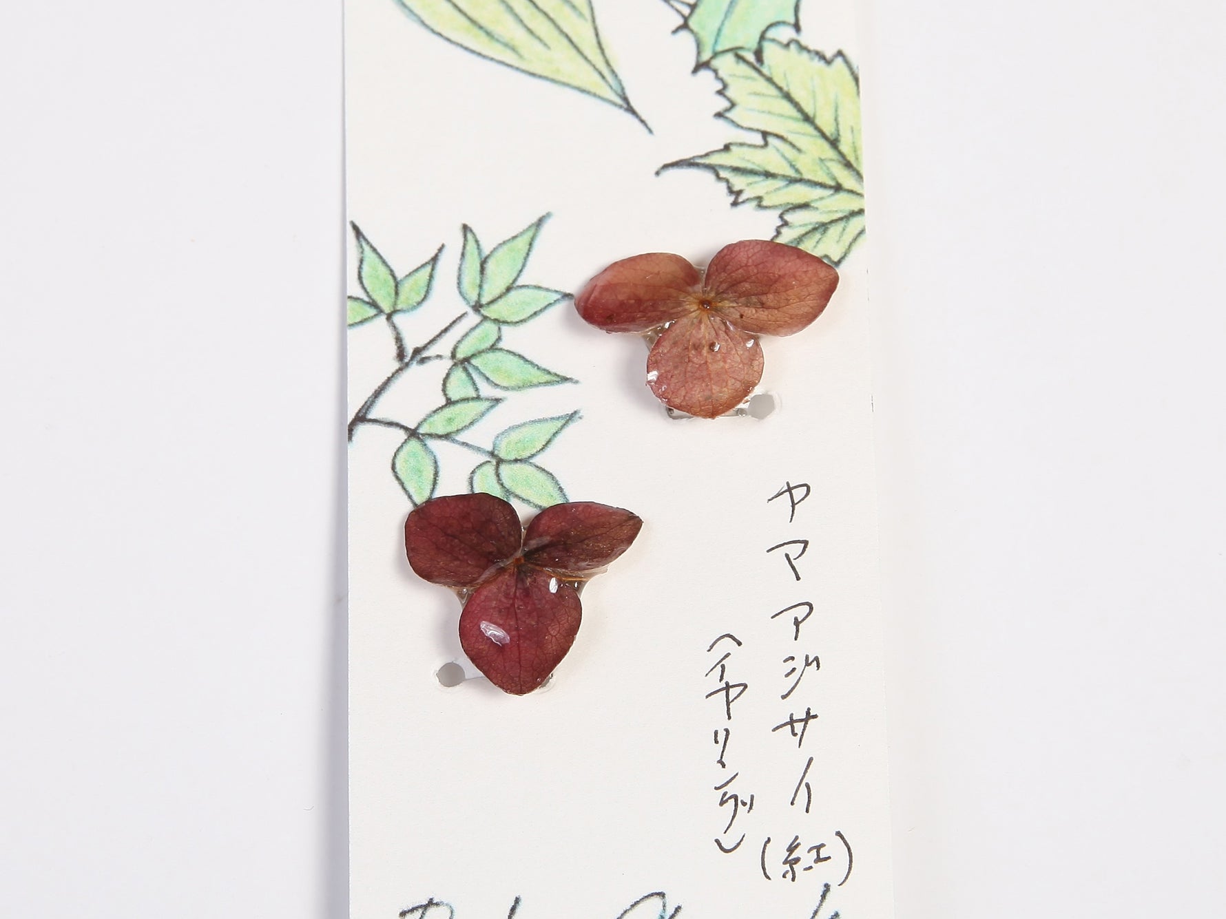 微生物アクセサリー