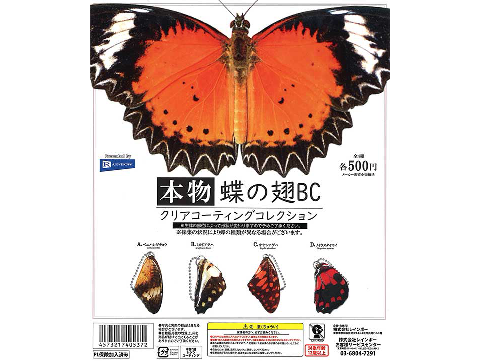 画像代替テキスト
