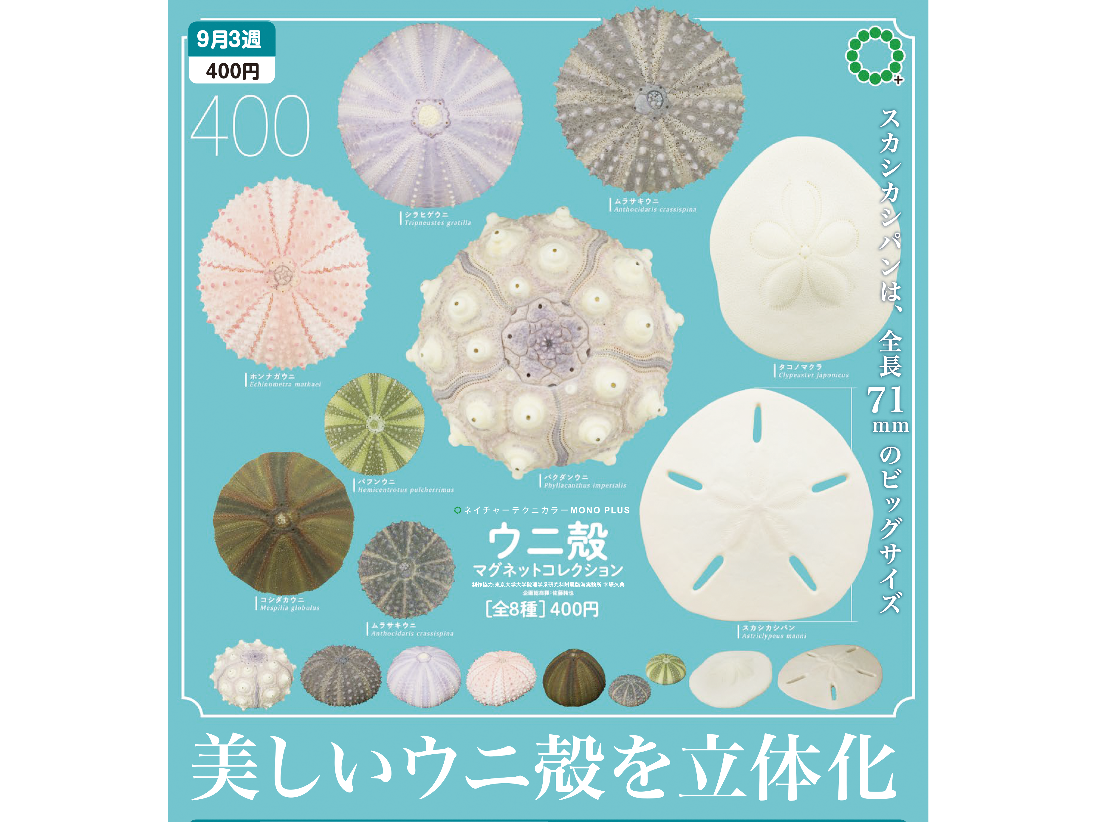 画像代替テキスト