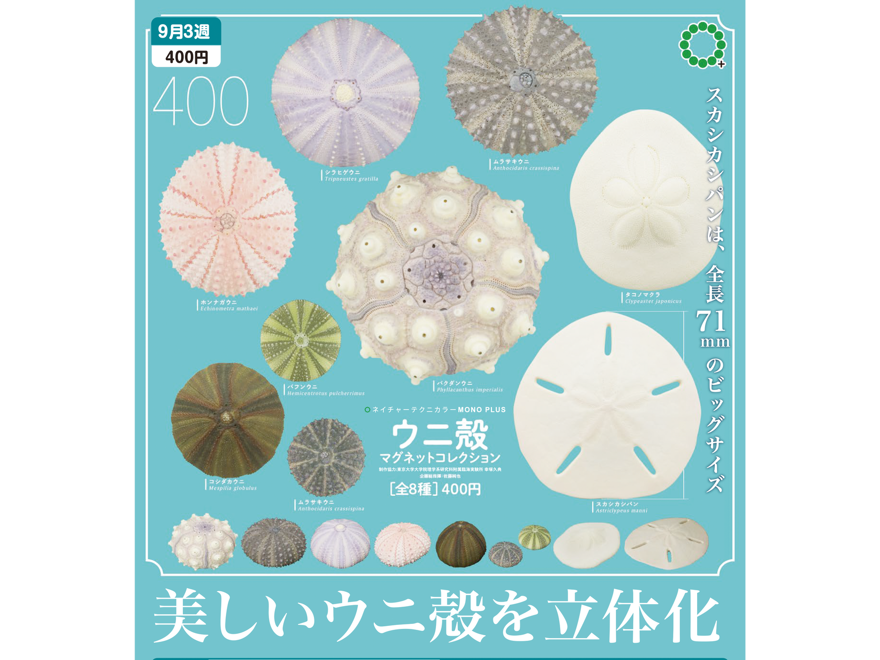 仮説社のガチャガチャ