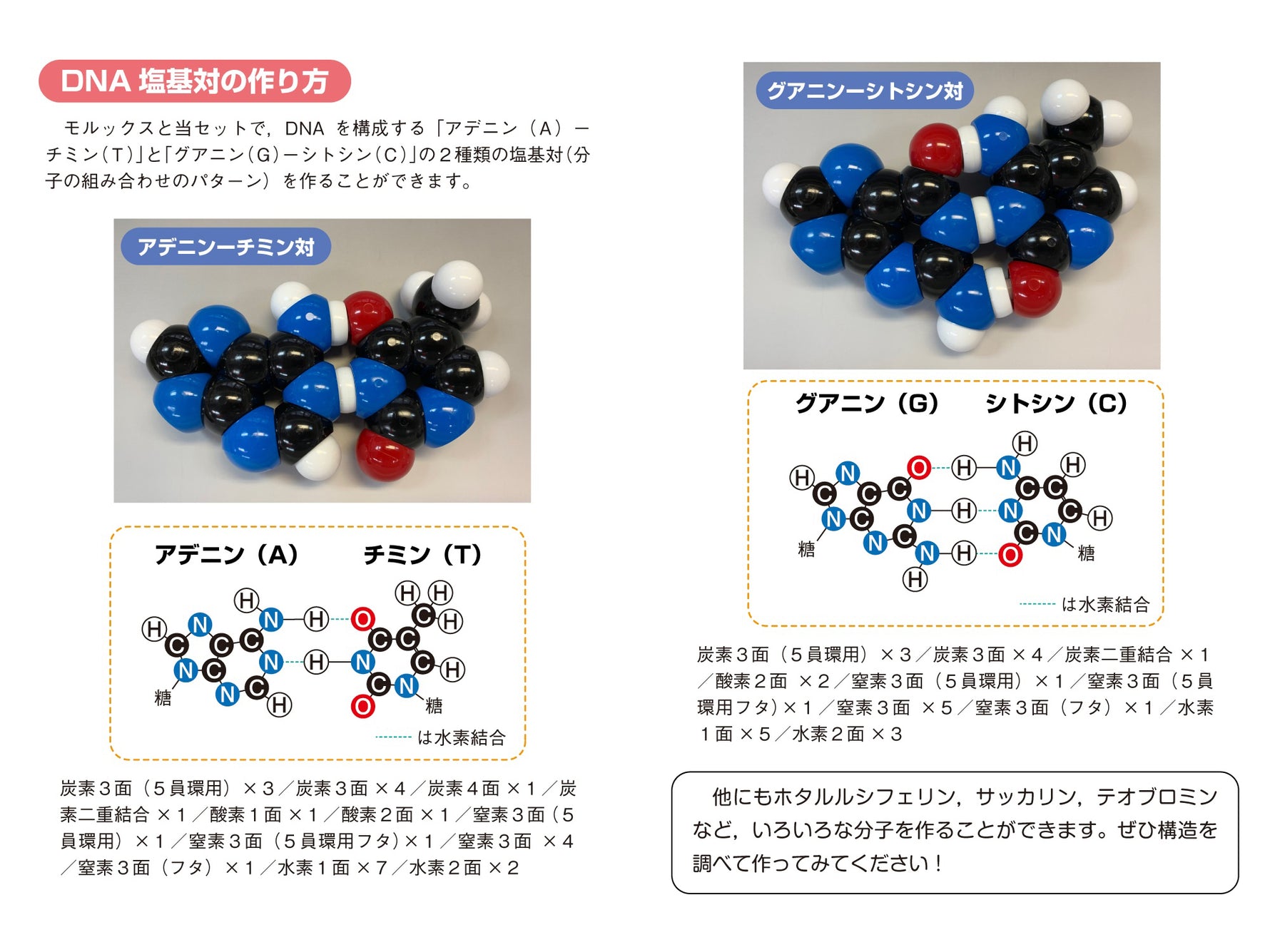 モルックス追加用　環式化合物ブースターセット
