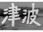 岩波たのしい科学教育映画DVD 災害の科学