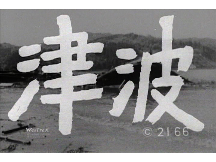岩波たのしい科学教育映画DVD 災害の科学