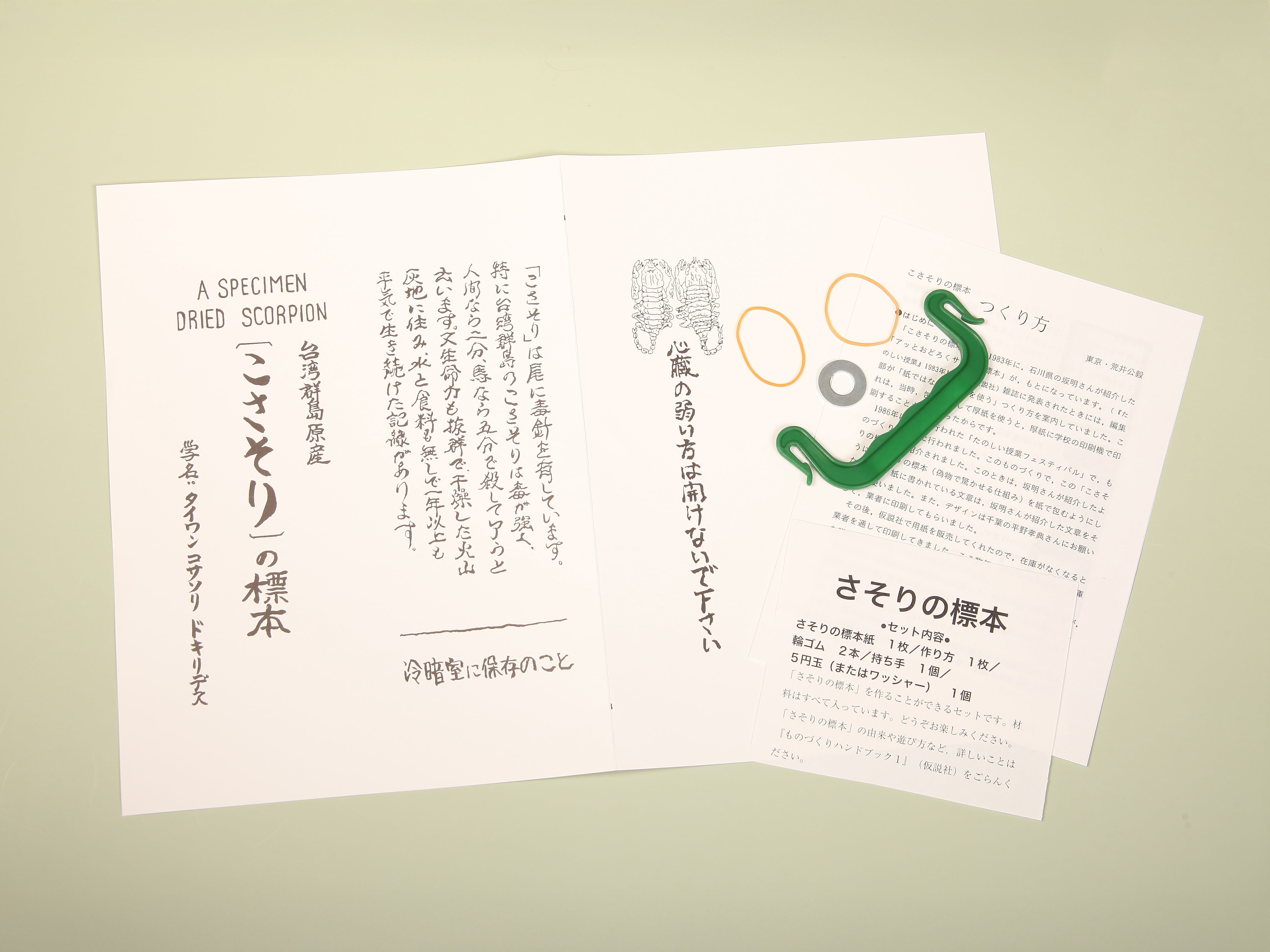 サソリの標本紙