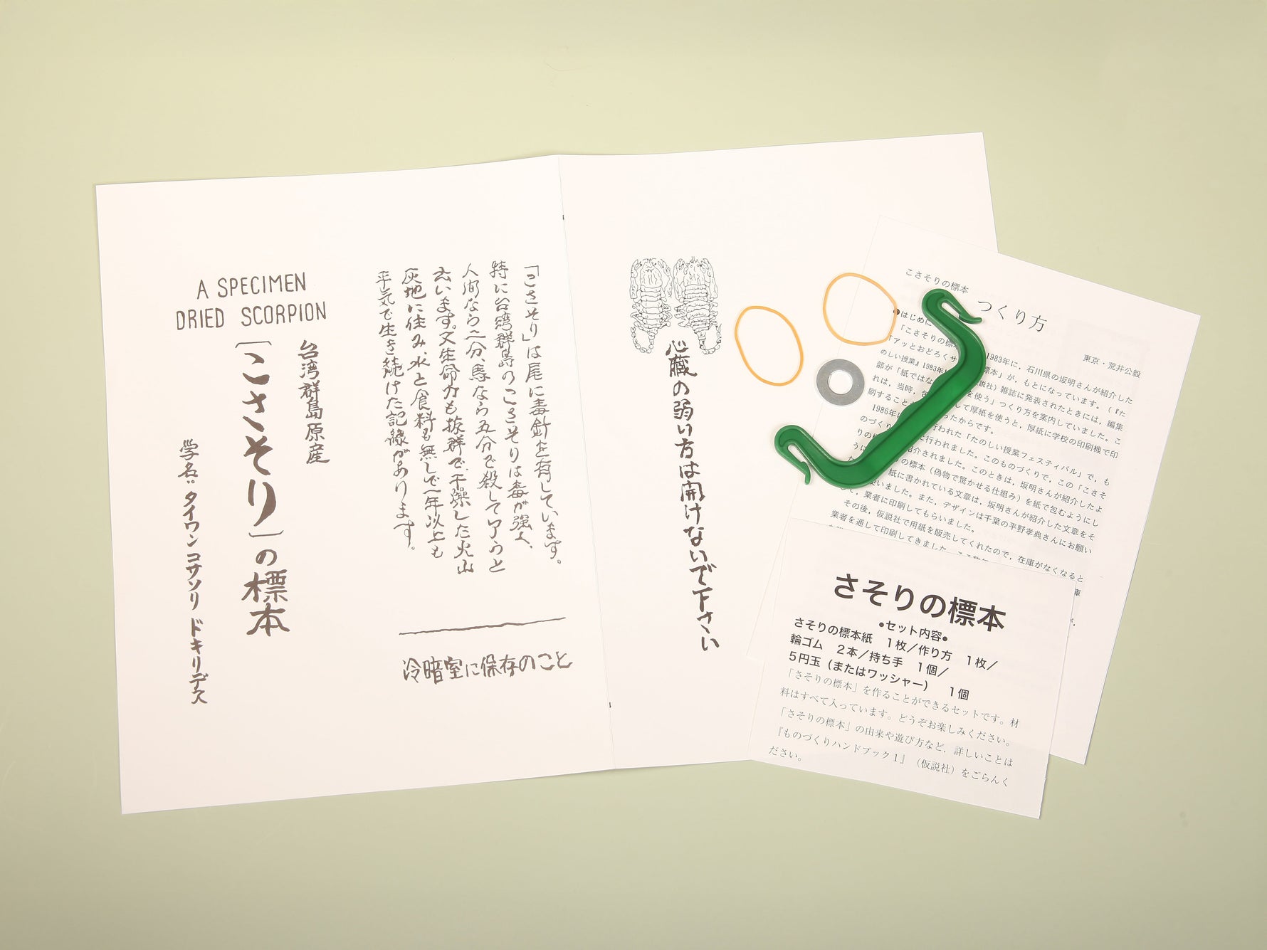 サソリの標本紙