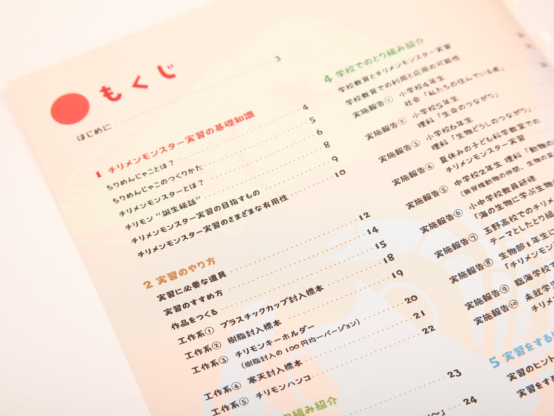 チリメンモンスター実習ガイド
