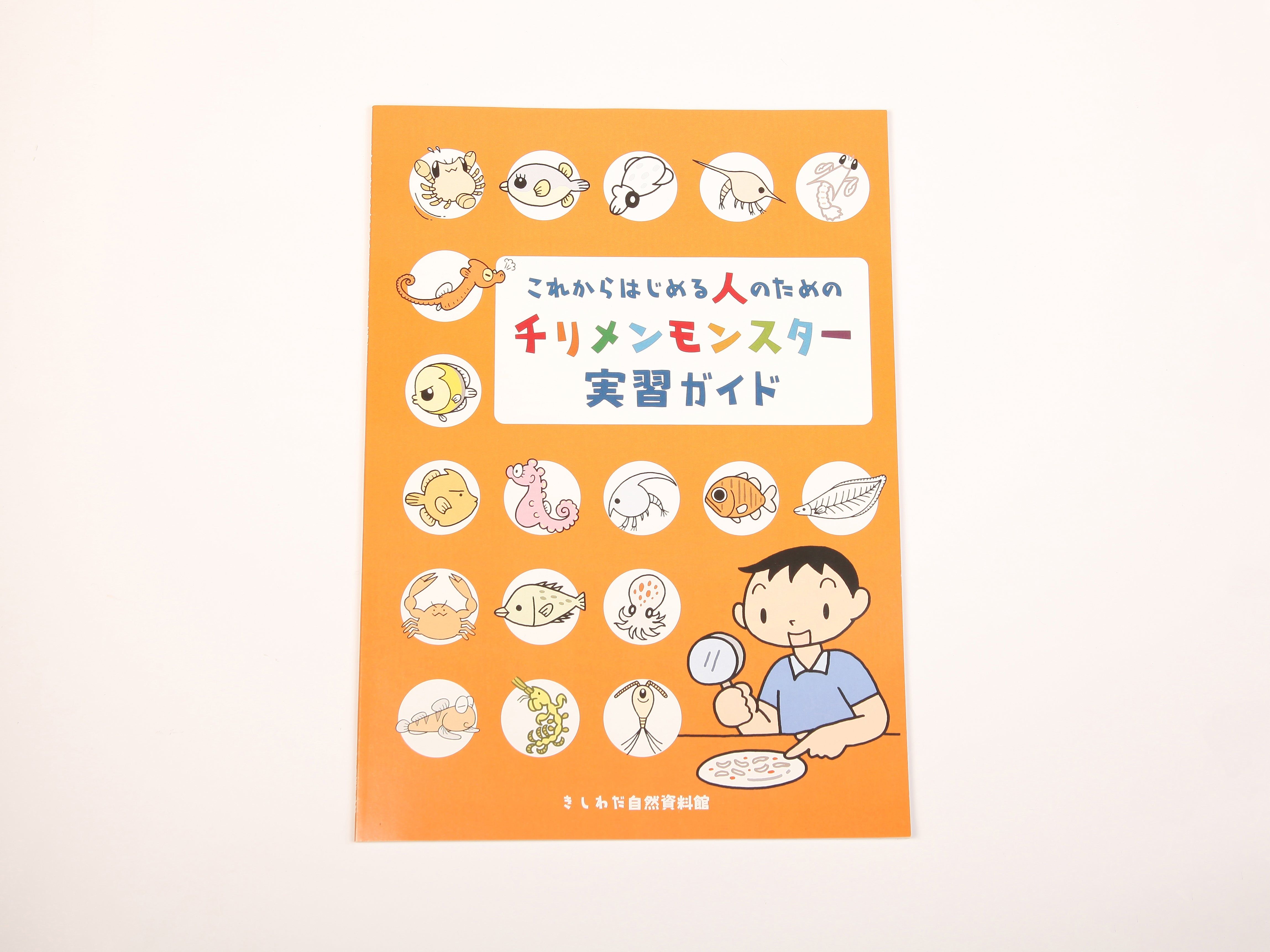 チリメンモンスター実習ガイド