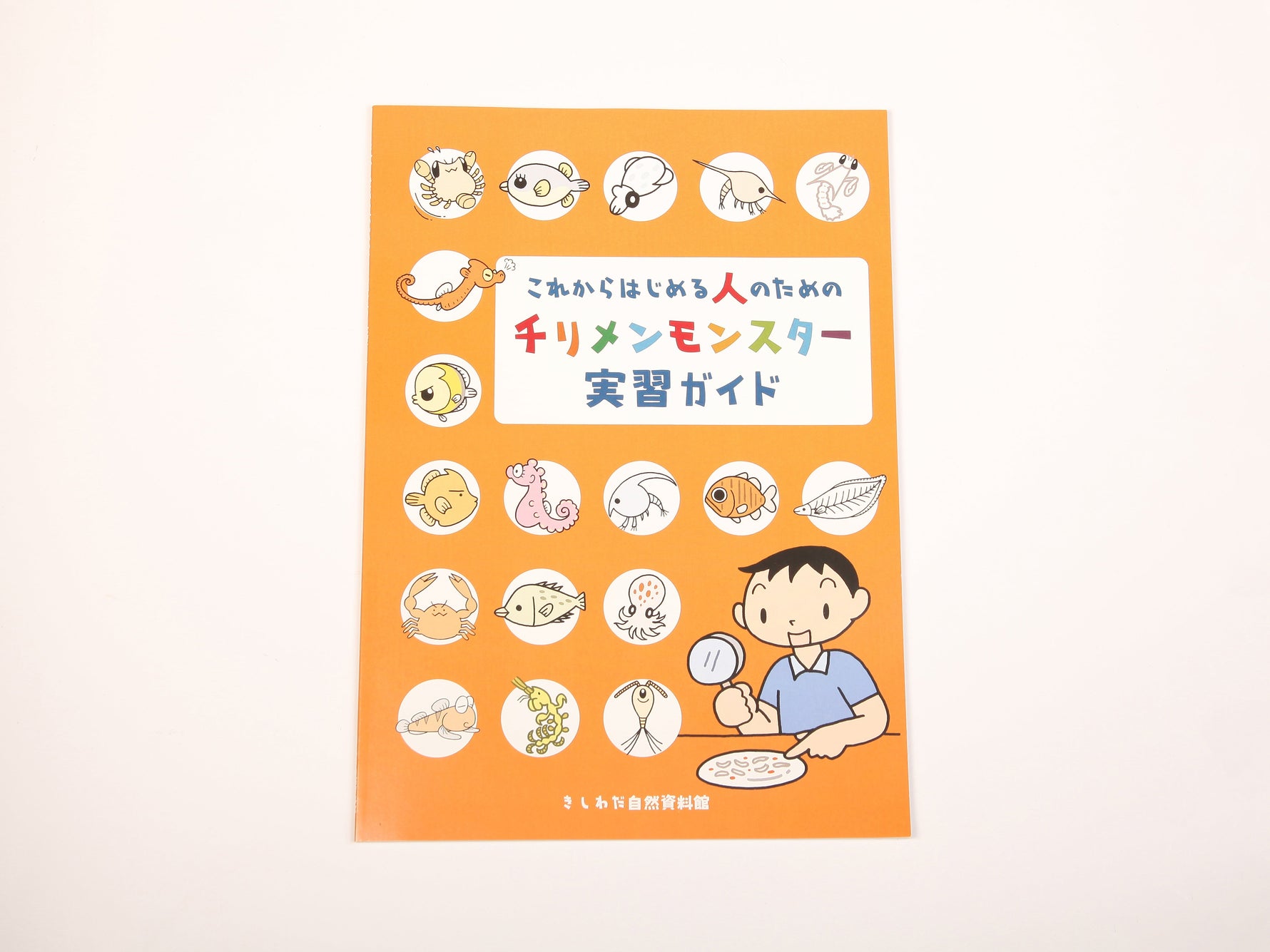 チリメンモンスター実習ガイド