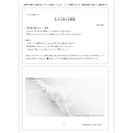 たのしい授業No.586　2026年11月号