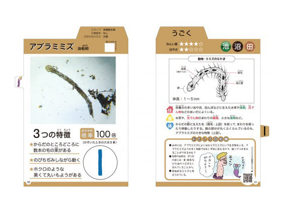『水中の小さな生き物けんさくブック』アブラミミズ修正版